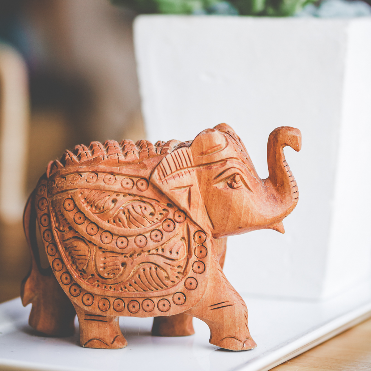 Carved Elephant in a box