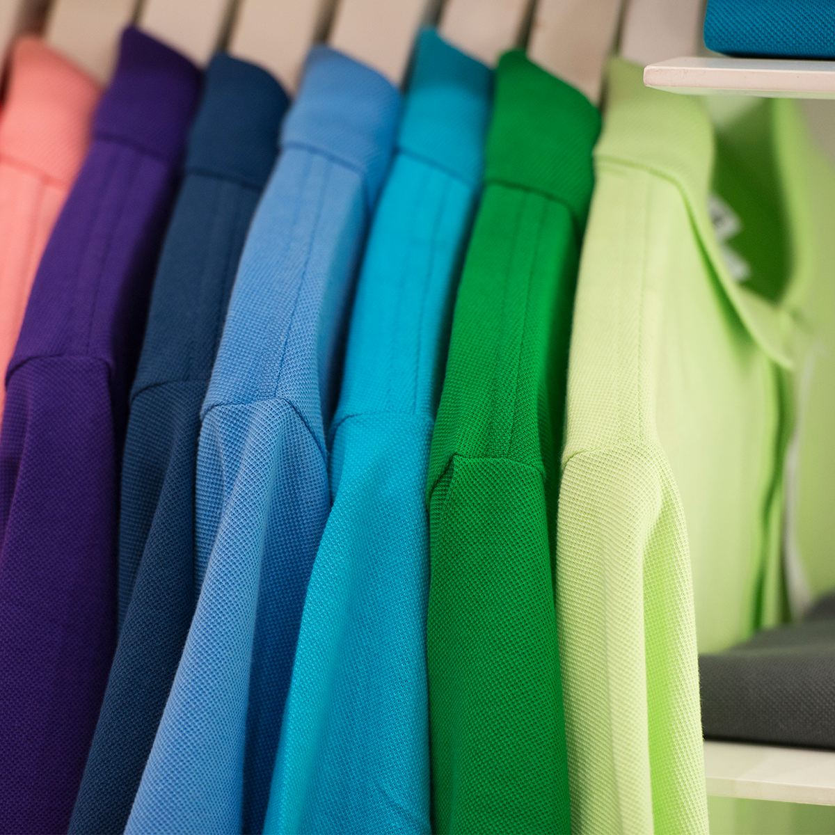 Short Sleeve Polo Neck Knit T Shirt  Multi Colored - Multiple Brands Available
