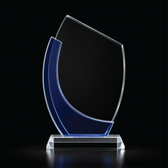 Blue Arc Excellence Award