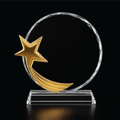Golden Comet Crystal Award
