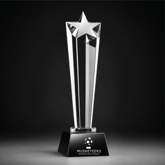 Crystal Star Pinnacle Award