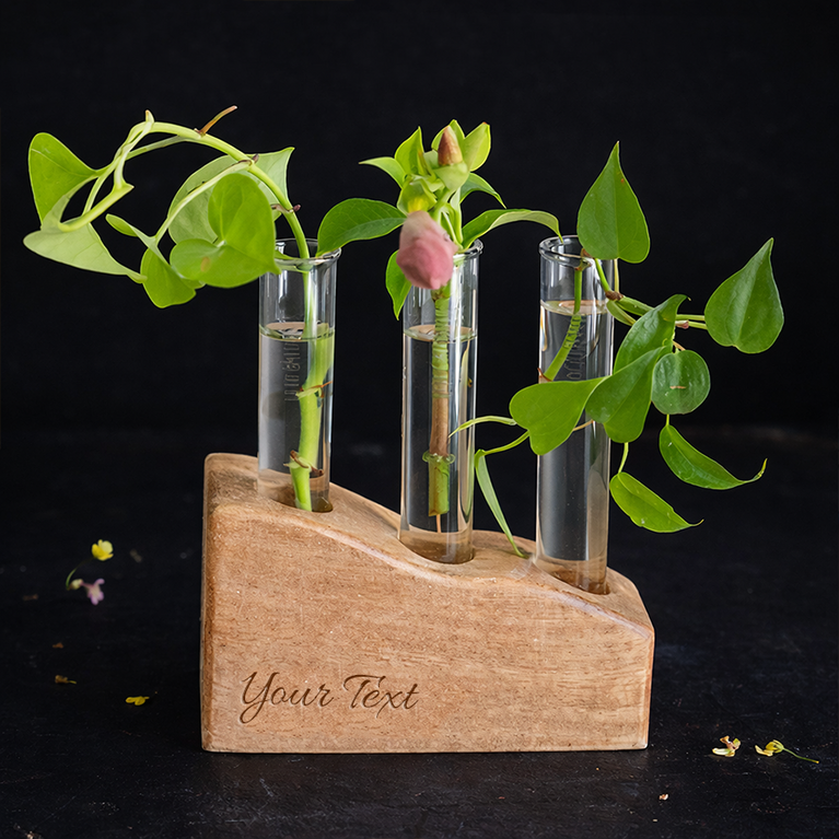 Verdant Artisan Vase Duo