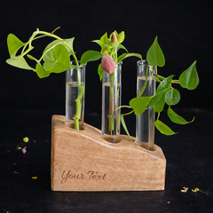Verdant Artisan Vase Duo