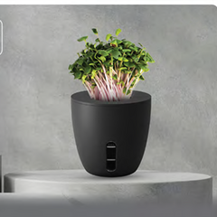 TerraGrow Pot